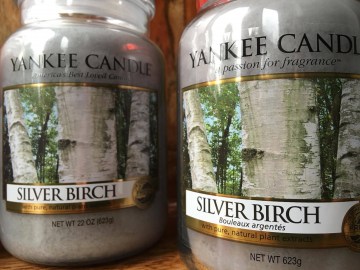 verkleining YCyc sfeer silver birch